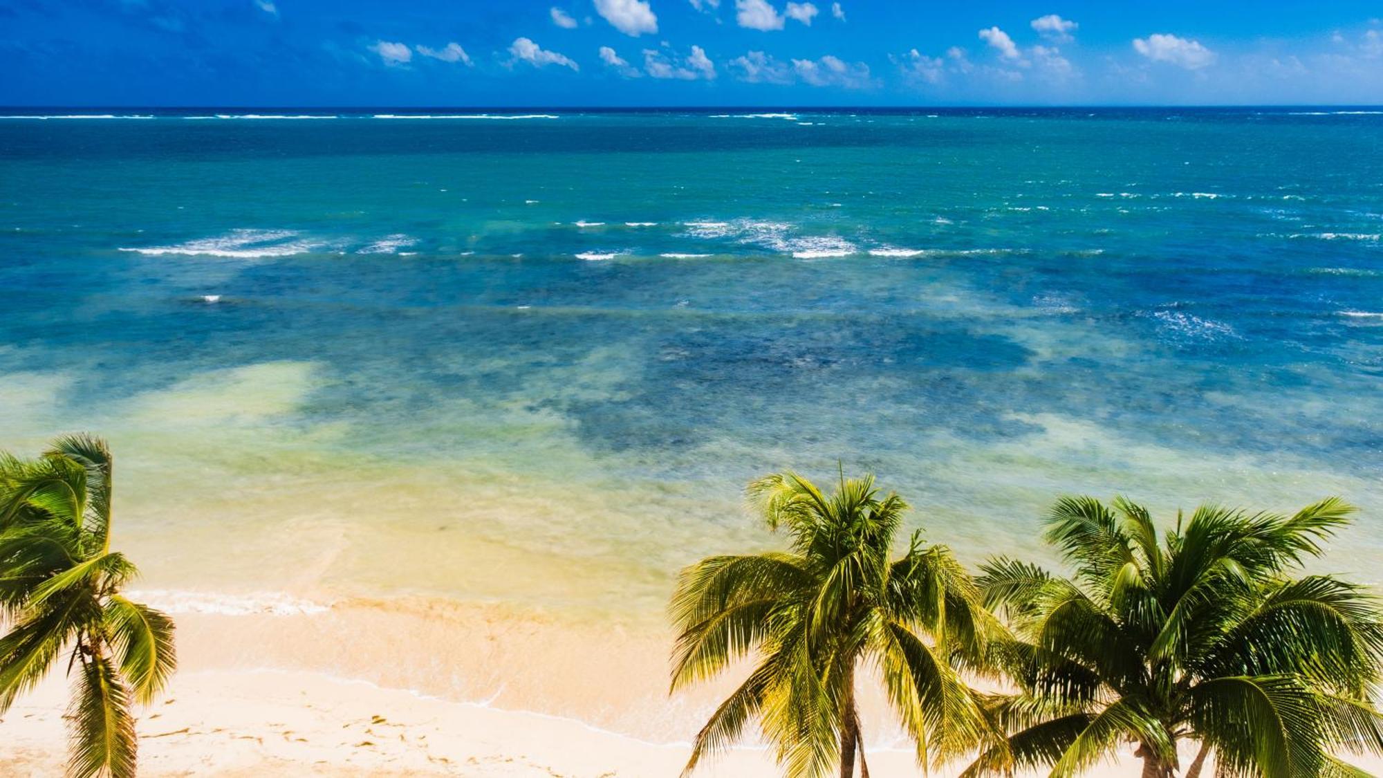 Palmar Beach Resort And Spa Riviera Maya Puerto Morelos Bagian luar foto